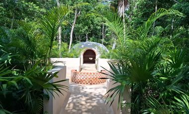 Invierte en Riviera Maya: Lotes Premium con 3 Cenotes Privados