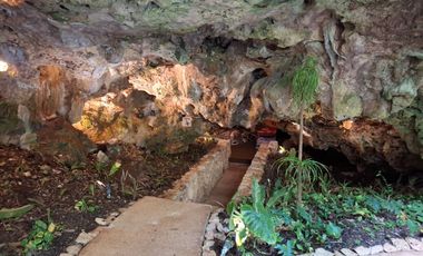 Invierte en Riviera Maya: Lotes Premium con 3 Cenotes Privados
