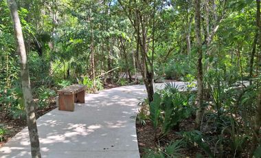 Invierte en Riviera Maya: Lotes Premium con 3 Cenotes Privados