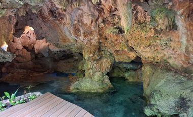Invierte en Riviera Maya: Lotes Premium con 3 Cenotes Privados