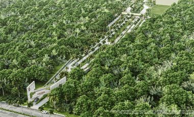 Invierte en Riviera Maya: Lotes Premium con 3 Cenotes Privados