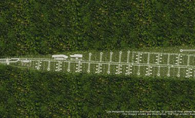 Invierte en Riviera Maya: Lotes Premium con 3 Cenotes Privados