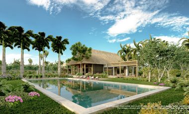 Invierte en Riviera Maya: Lotes Premium con 3 Cenotes Privados