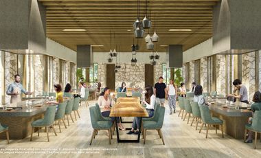 Invierte en Riviera Maya: Lotes Premium con 3 Cenotes Privados