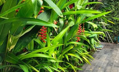 DISEWAKAN RUMAH LOKASI STRATEGIS SEMI FURNISHED DGN FASILITAS SWIMING POLL DI KEMANG SELATAN  JAKARTA SELATAN