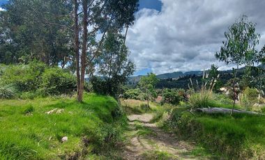 Terreno industrial en venta ideal para Naves industriales Bodegas o proyecto inmobliario. Pan. Norte