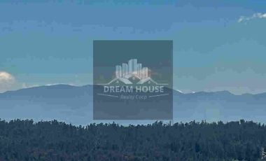 Venta de Departamento de 3 dormitorios, Sector El Bosque, Quito, Ecuador