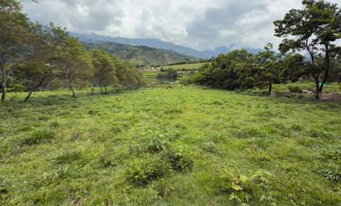 VENDO LOTE CON VISTA AL LAGO PALMIRA CERCA A CALI