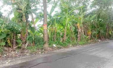 Di Sewakan Tanah kosong Barat Hotel Hyatt Jalan palagan sleman yogyakarta