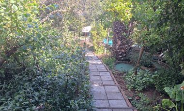 Hermosa Casa En El Exclusivo Sector Los Almendros de Reñaca UFs 13.200