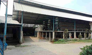 DI JUAL PETERNAKAN AYAM PETELOR PRODUKTIF DENGAN PERIJINAN AKTIF SHM