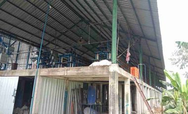 DI JUAL PETERNAKAN AYAM PETELOR PRODUKTIF DENGAN PERIJINAN AKTIF SHM