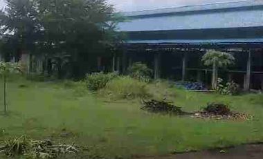 DI JUAL PETERNAKAN AYAM PETELOR PRODUKTIF DENGAN PERIJINAN AKTIF SHM