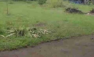 DI JUAL PETERNAKAN AYAM PETELOR PRODUKTIF DENGAN PERIJINAN AKTIF SHM