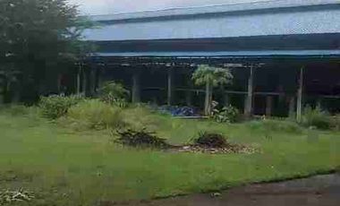 DI JUAL PETERNAKAN AYAM PETELOR PRODUKTIF DENGAN PERIJINAN AKTIF SHM