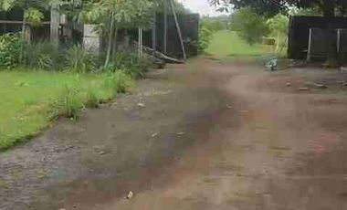 DI JUAL PETERNAKAN AYAM PETELOR PRODUKTIF DENGAN PERIJINAN AKTIF SHM