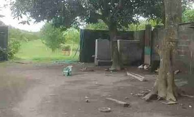 DI JUAL PETERNAKAN AYAM PETELOR PRODUKTIF DENGAN PERIJINAN AKTIF SHM