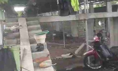 DI JUAL PETERNAKAN AYAM PETELOR PRODUKTIF DENGAN PERIJINAN AKTIF SHM