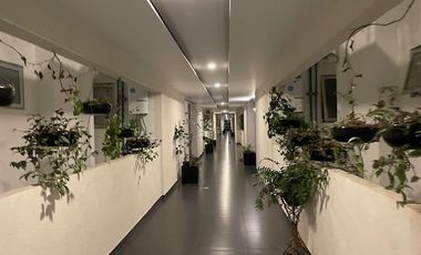 Renta Departamento en División del Norte, Yama Punta Museo