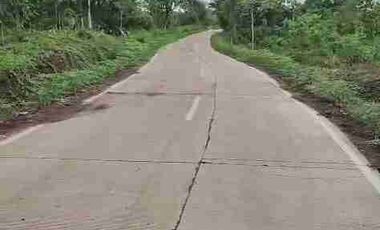 jual tanah murah LT 50ha, shm, nempel jln propinsi