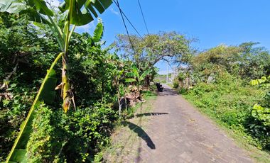 Tanah Strategis di Gedong Sari Nusa Dua Area Villa Dekat Bypass