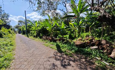 Tanah Strategis di Gedong Sari Nusa Dua Area Villa Dekat Bypass