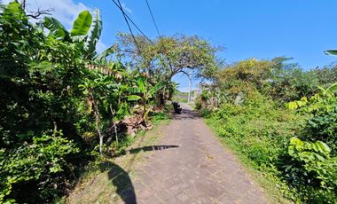 Tanah Strategis di Gedong Sari Nusa Dua Area Villa Dekat Bypass