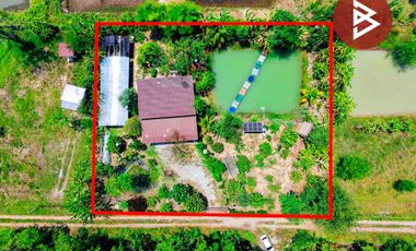 ขายบ้านเดี่ยวพร้อมที่ดิน เนื้อที่ 1 ไร่ 1 งาน ดอนเจดีย์ สุพรรณบุรี