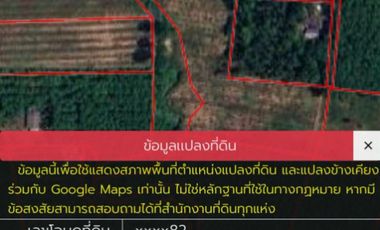 ขายบ้านเดี่ยวพร้อมที่ดิน เนื้อที่ 1 ไร่ 3 งาน 4.2 ตารางวา ทุ่งสง นครศรีธรรมราช