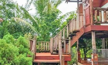 ขาย/เช่า บ้านเดี่ยวพร้อมที่ดิน เนื้อที่ 4 ไร่ 85 ตร.วา จอมทอง เชียงใหม่