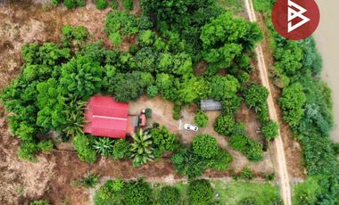 ขาย/เช่า บ้านเดี่ยวพร้อมที่ดิน เนื้อที่ 4 ไร่ 85 ตร.วา จอมทอง เชียงใหม่