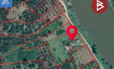 ขาย/เช่า บ้านเดี่ยวพร้อมที่ดิน เนื้อที่ 4 ไร่ 85 ตร.วา จอมทอง เชียงใหม่