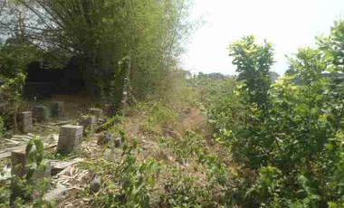 0306,58 Dijual Ruko By Lelang Di Raya Kediri-Nganjuk Kediri Di Tarokan