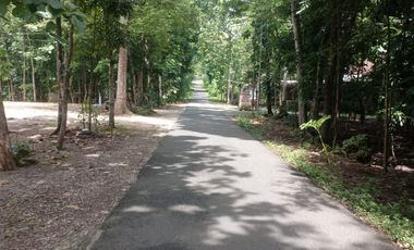Dijual Tanah Pekarangan di  Guwosari Pajangan Bantul Yogyakarta