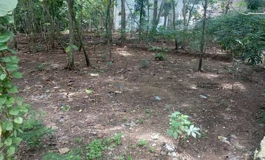 Dijual Tanah Pekarangan di  Guwosari Pajangan Bantul Yogyakarta