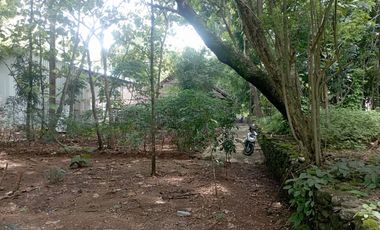 Dijual Tanah Pekarangan di  Guwosari Pajangan Bantul Yogyakarta