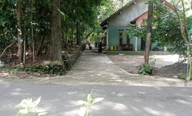 Dijual Tanah Pekarangan di  Guwosari Pajangan Bantul Yogyakarta