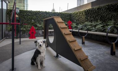 Neuchâtel | Piso 26 | 3 recámaras | 124 m² | $63,000 mantenimiento incluido