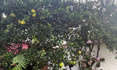 Casa Campestre Exclusiva en Chinauta Calidad de vida y proyección patrimonial a solo 1h20 de Bogotá