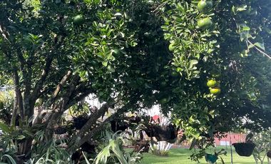 Casa Campestre Exclusiva en Chinauta Calidad de vida y proyección patrimonial a solo 1h20 de Bogotá