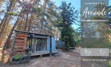 SE ARRIENDA TINY POR AÑO CORRIDO! UNA BUENA OPORTUNIDAD DE VIVIR JUNTO A TUS AMIGAS PERO EN TU PROPIO ESPACIO! ALGARROBO