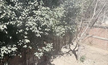 RENTA DE CASA EN BRISAS DEL CAMPO