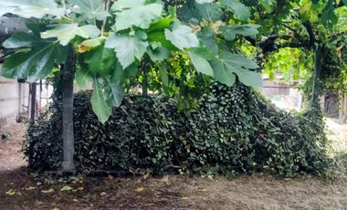 Se vende casa con 800 m² de terreno, a pasos del centro de Talca