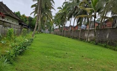 Tanah Strategis 31 Are Siap Bangun Dijual, di Pusat Ubud Area