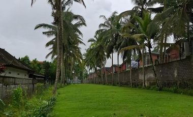 Tanah Strategis 31 Are Siap Bangun Dijual, di Pusat Ubud Area