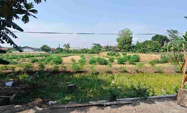 Tanah Komersial Kembangarum Mranggen