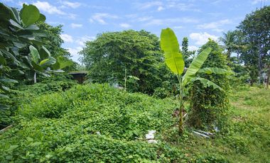 Disewakan Tanah Luas Pinggir Jalan Raya Utama Strategis di Margahayu Bekasi