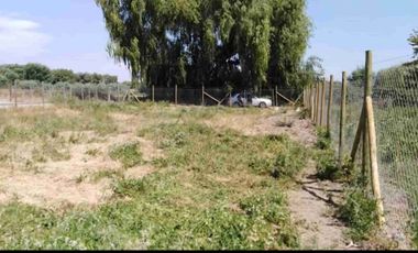 Vendo sitio de 500 mts2 en Santa Cruz ( sexta región)