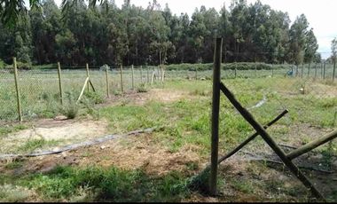 Vendo sitio de 500 mts2 en Santa Cruz ( sexta región)
