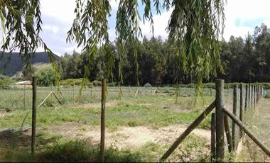 Vendo sitio de 500 mts2 en Santa Cruz ( sexta región)